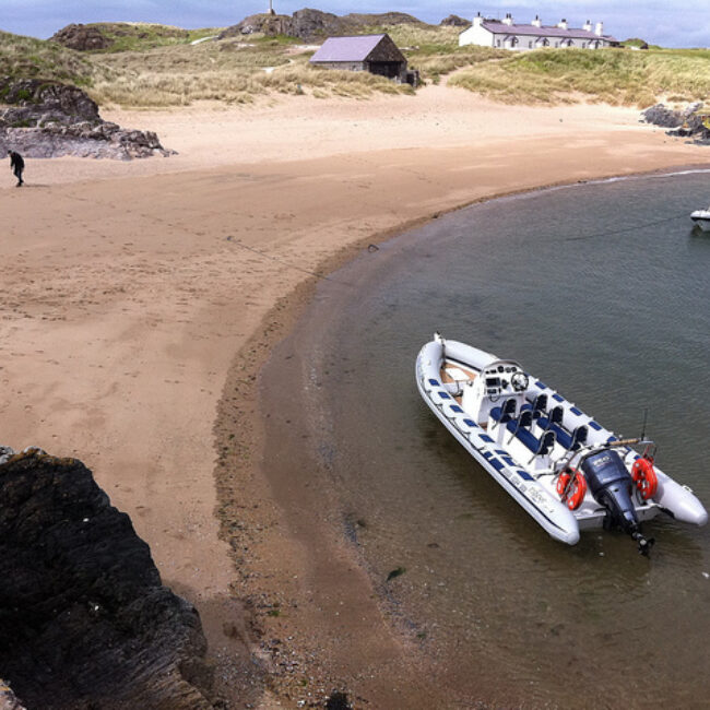 Angelsey  Llandwyn